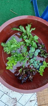 정연섭님의 작성글 사진