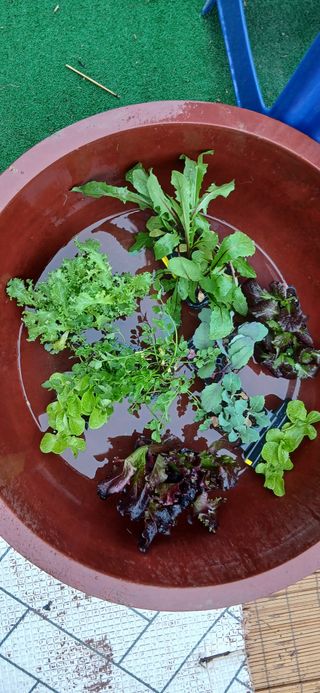 정연섭님의 기타작물 · 영농일지 작성글 사진