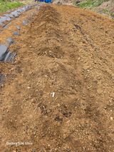 팜모닝 기타작물·영농일지 게시글 이미지