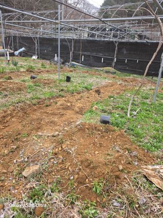 김종협님의 기타작물 · 영농일지 작성글 사진