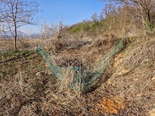 이복길님의 작성글 사진