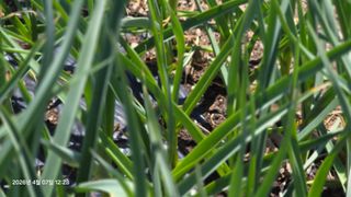 박용열조물주님 님의 기타작물 · 영농일지 작성글 사진