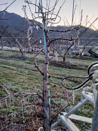 유종수님의 기타작물 · 영농일지 작성글 사진