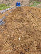 김종협님의 작성글 사진