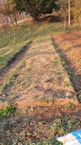 서초농원님의 작성글 사진