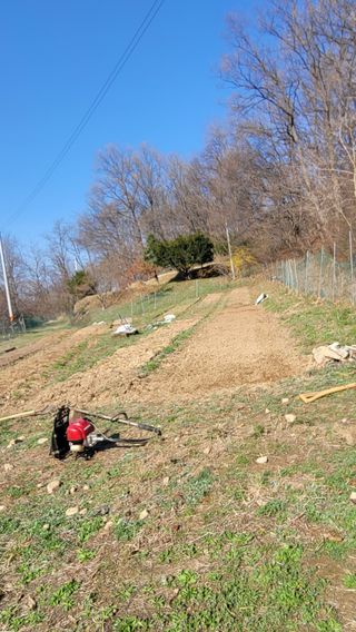 서초농원님의 작성글 사진