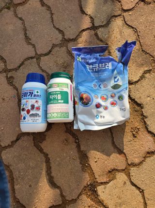 콩7431(팔공산)님의 복숭아 · 영농일지 작성글 사진