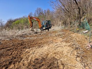 이복길님의 기타작물 · 영농일지 작성글 사진