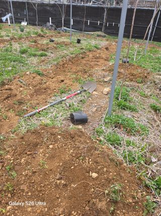 김종협님의 기타작물 · 영농일지 작성글 사진