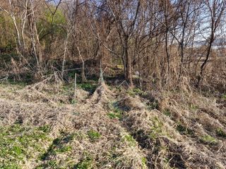 이복길님의 기타작물 · 영농일지 작성글 사진