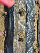 박순례님의 작성글 사진