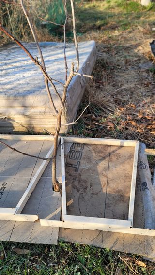 서초농원님의 기타작물 · 영농일지 작성글 사진