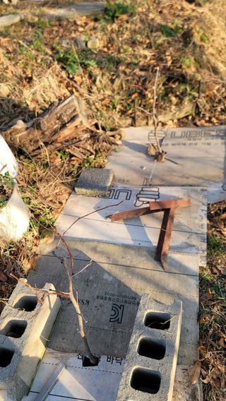 서초농원님의 기타작물 · 영농일지 작성글 사진