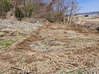 이복길님의 기타작물 · 영농일지 작성글 사진