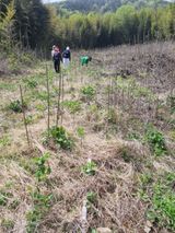이순기님의 작성글 사진