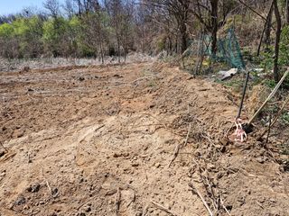 이복길님의 기타작물 · 영농일지 작성글 사진