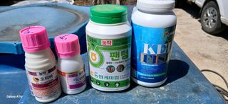 이형근님의 마늘 · 영농일지 작성글 사진