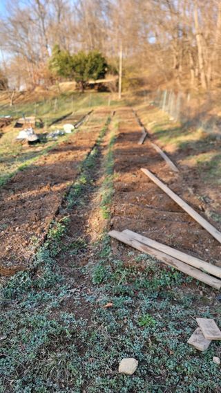 서초농원님의 작성글 사진