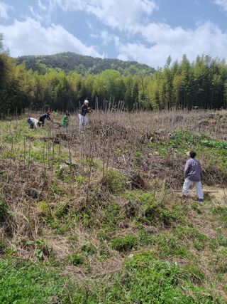 이순기님의 기타작물 · 영농일지 작성글 사진