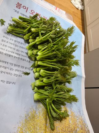 콩7431(팔공산)님의 복숭아 · 영농일지 작성글 사진