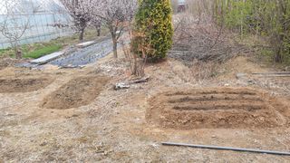 송완춘님의 기타작물 · 영농일지 작성글 사진