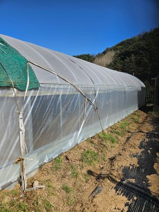 김해열님의 기타작물 · 영농일지 작성글 사진