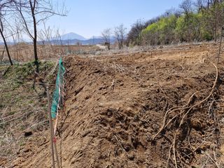 이복길님의 기타작물 · 영농일지 작성글 사진