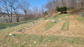 서초농원님의 기타작물 · 영농일지 작성글 사진