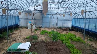 이상철님의 기타작물 · 영농일지 작성글 사진