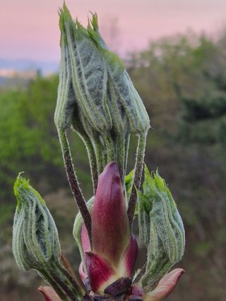 다래8403님의 기타작물 · 영농일지 작성글 사진