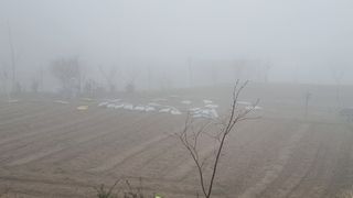 두원리 산막골농부님의 고추 · 영농일지 작성글 사진