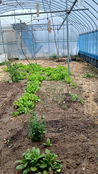 이상철님의 기타작물 · 영농일지 작성글 사진