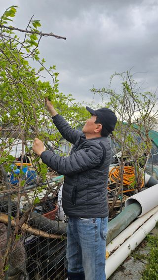 정규환님의 기타작물 · 영농일지 작성글 사진