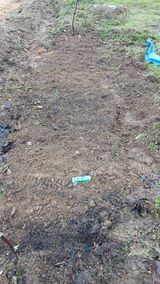 이상철님의 작성글 사진