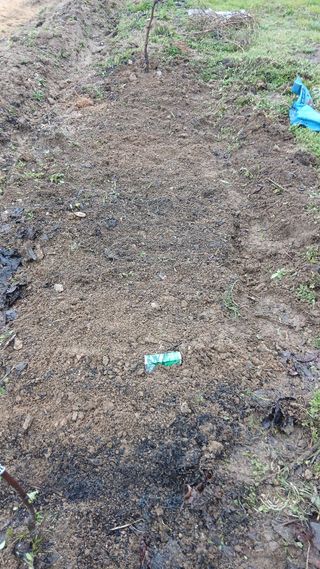 이상철님의 기타작물 · 영농일지 작성글 사진