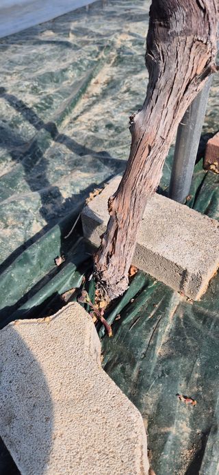 이화주님의 작성글 사진