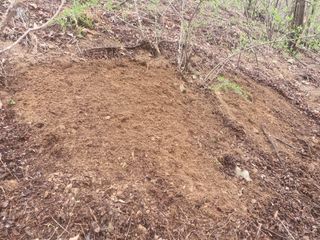 성은모님의 작성글 사진