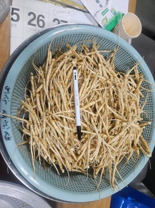 박헌재님의 기타작물 · 영농일지 작성글 사진