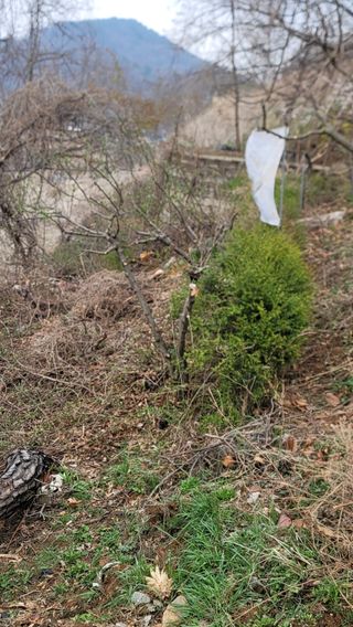 서초농원님의 기타작물 · 영농일지 작성글 사진