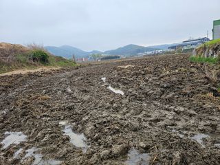 넥스젠님의 벼 · 영농일지 작성글 사진