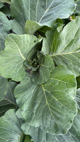 김성진님의 작성글 사진