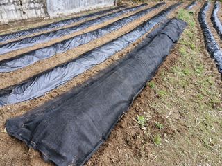 성은모님의 기타작물 · 영농일지 작성글 사진