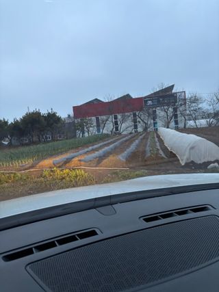 김영완님의 양배추 · 영농일지 작성글 사진