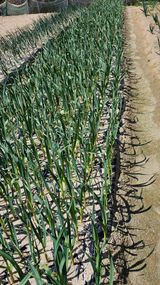 멋진인생님의 작성글 사진