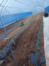 김영경님의 작성글 사진