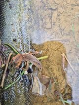 이경옥님의 작성글 사진