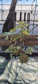 이화주님의 작성글 사진