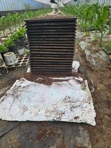 팜모닝 참깨·영농일지 게시글 이미지