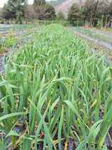 이경옥님의 작성글 사진