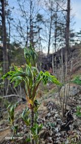 염봉섭님의 작성글 사진
